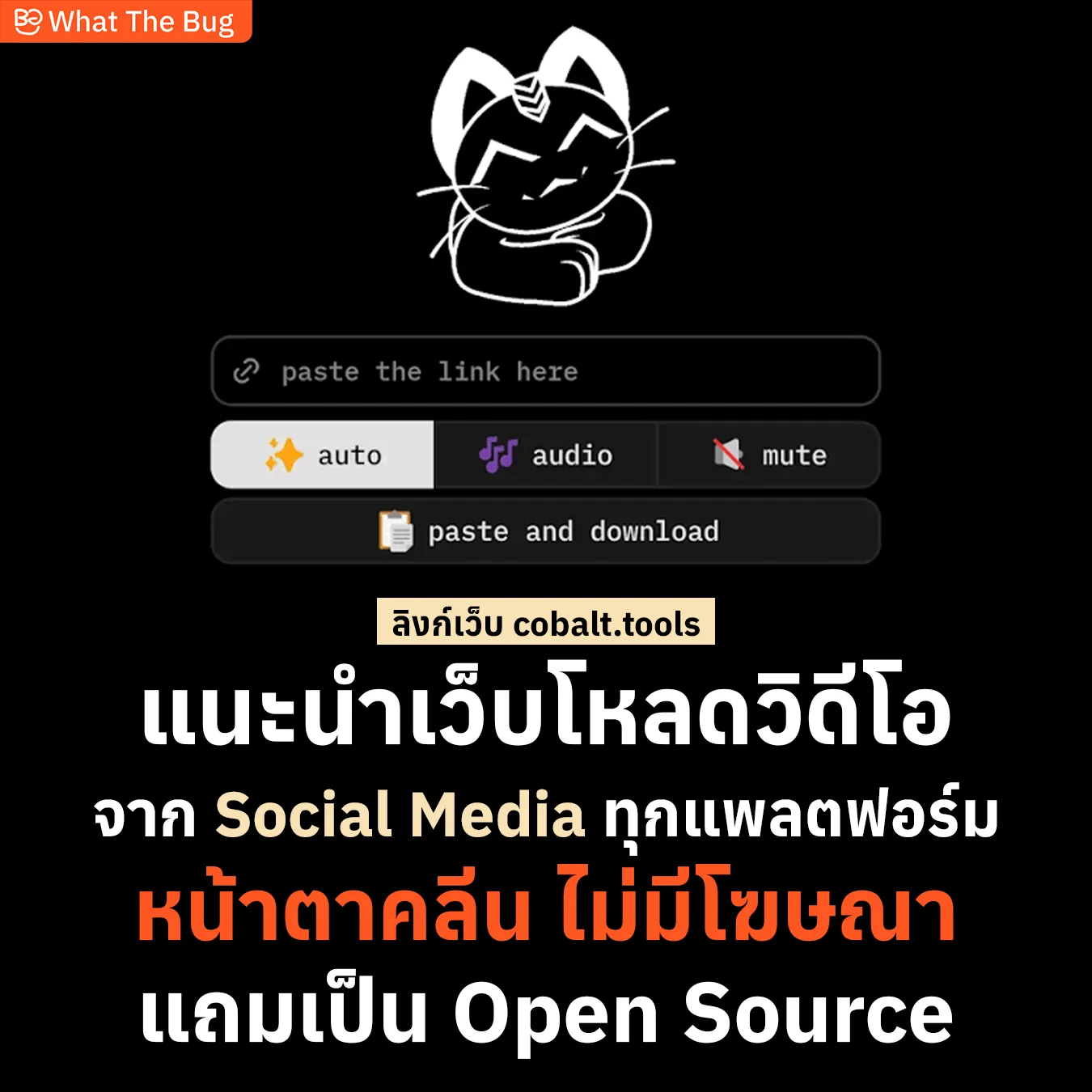 [อัปเดต 2026] รวมมิตรเว็บโหลดวิดีโอ TikTok, IG, X คลีนสุด ปลอดภัย ไร้มัลแวร์